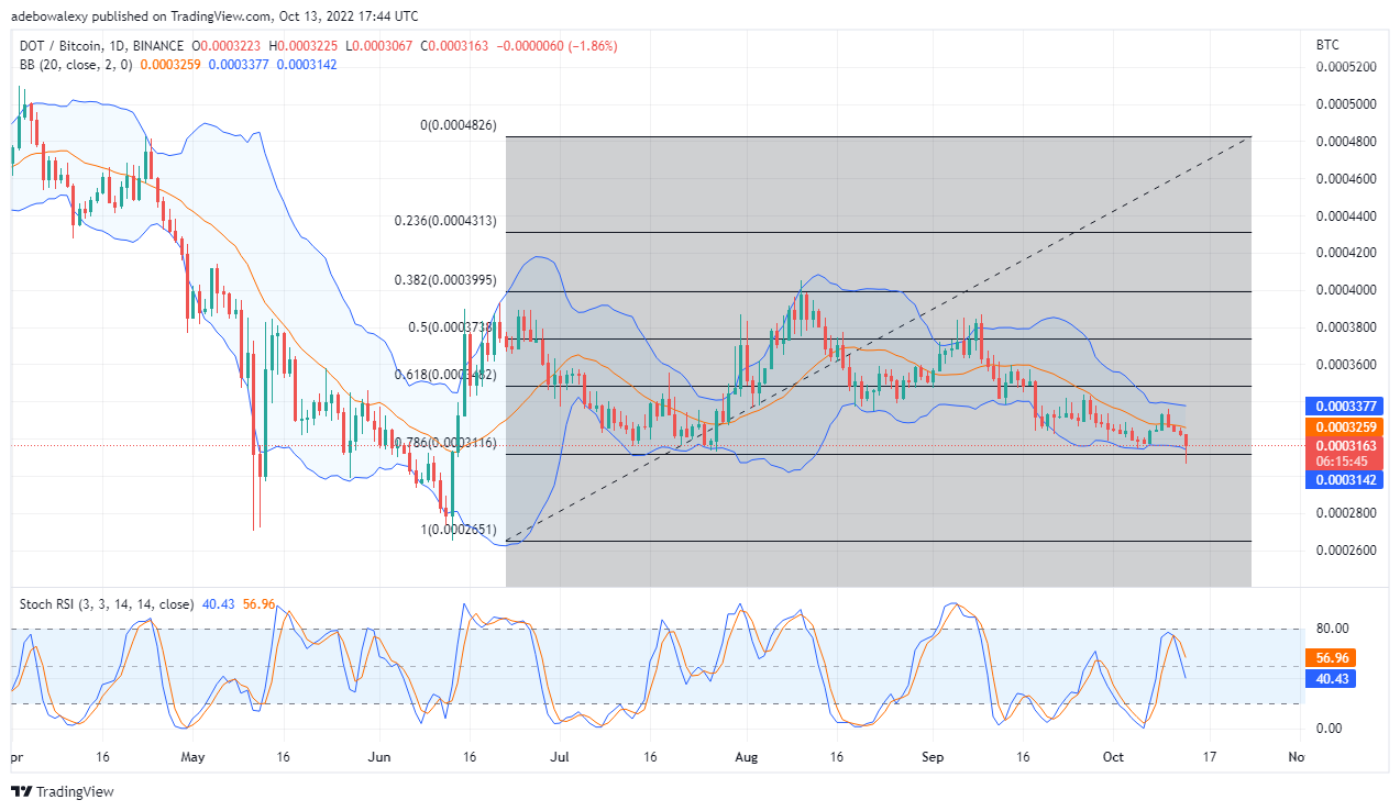 今日 14 年 2022 月 XNUMX 日 Polkadot 价格预测：DOT/USD 测试强支撑位