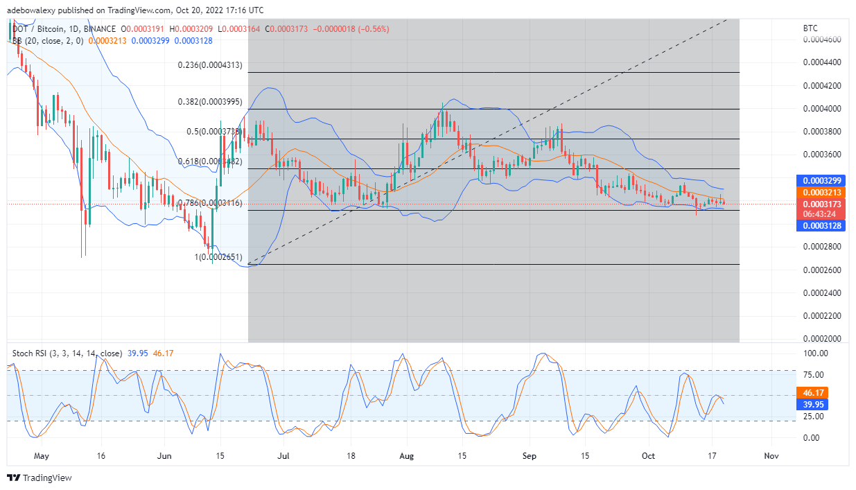 Polkadot 价格预测今天，21 年 2022 月 XNUMX 日：DOT/USD 保持下跌