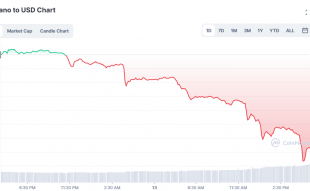 Future of Cardano