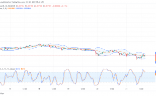 Holo Price Prediction Today, October 21, 2022: HOT/USD Falls to a Strong Support
