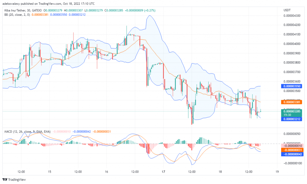 Kiba Inu Price Prediction Today, October 19, 2022: KIBA/USDT Is Consolidating