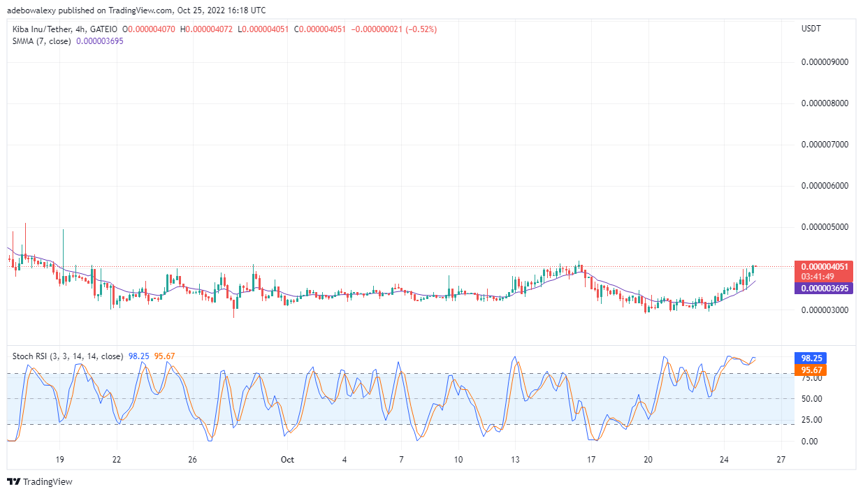 Kiba Inu Price Prediction Today, October 26, 2022: KIBA/USDT Price Rises Upwards