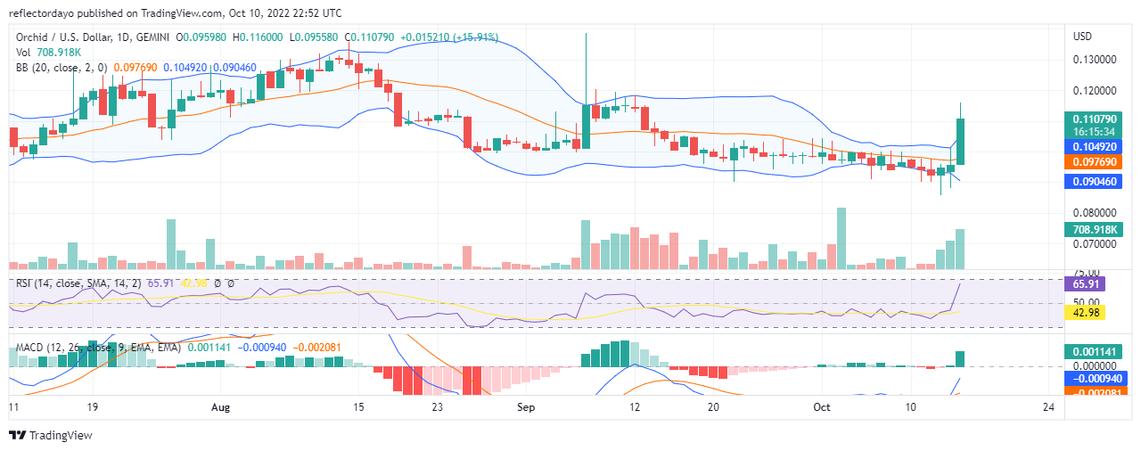 Daily Price Prediction for 15th of October: Orchid (ORX/USD) Reaches For The Sky