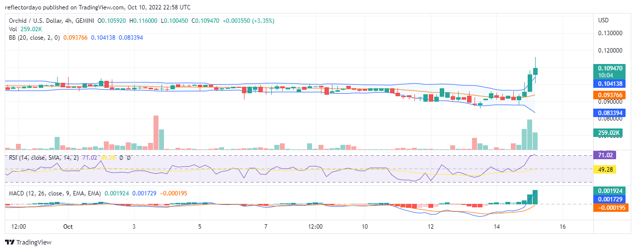 Daily Price Prediction for 15th of October: Orchid (ORX/USD) Reaches For The Sky