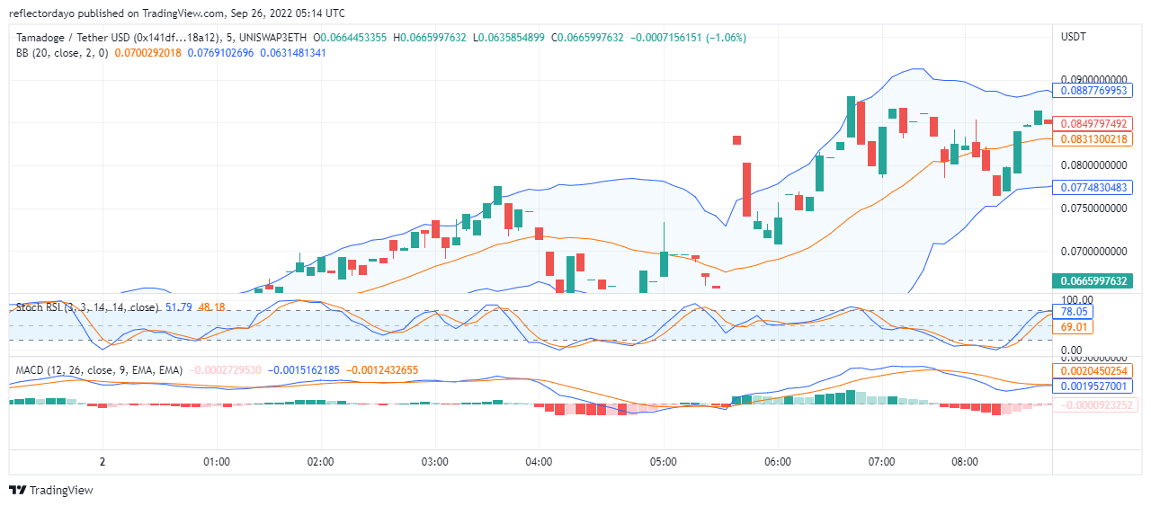 2 月 XNUMX 日 Tamadoge 價格分析：TAMA 上的大規模反彈