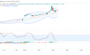 Tamadoge Price Analysis for 1st of October: TAMA/USD’s Bulls Are Making Waves in Today’s Market