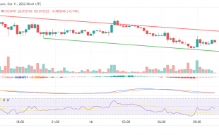 Daily Tamadoge Price Prediction for the 16th of October: Buy TAMA/USD Now!