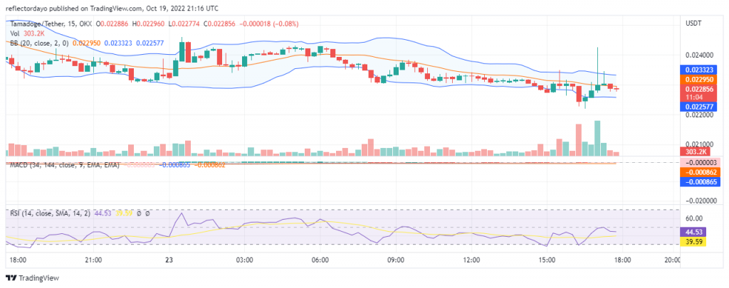 Tamadoge Price Prediction for 23rd of October: TAMA Targets New Support