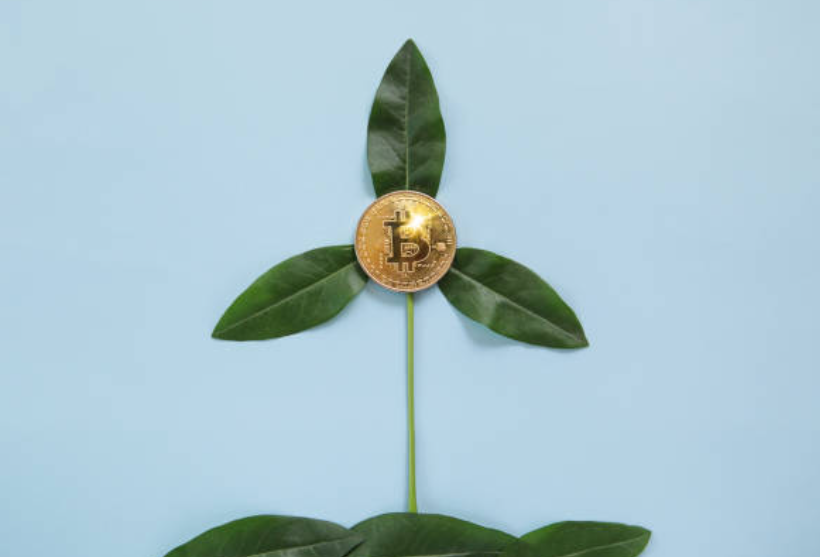 10+ Greenest Cryptos to Invest in 2024