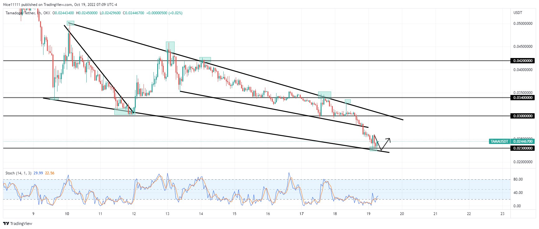 Price Prediction For October 19: TWT, AAVE, TAMA and IMPT