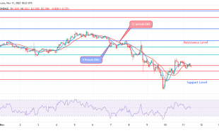 Cardano Price Prediction for Today, 11 November: ADA Carries Out Retracement to $0.31 Level