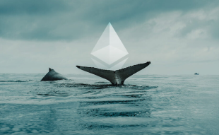 A Dormant Ethereum Whale Raises Its Head - 500 ETH Activated After Seven Years
