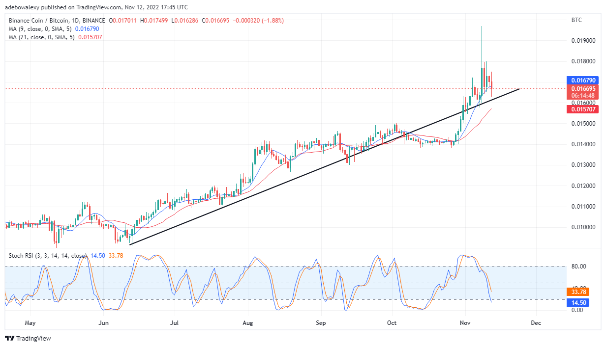 Binance Coin Price Prediction Today, November 13, 2022: BNB/USD Bulls Are Exhausted