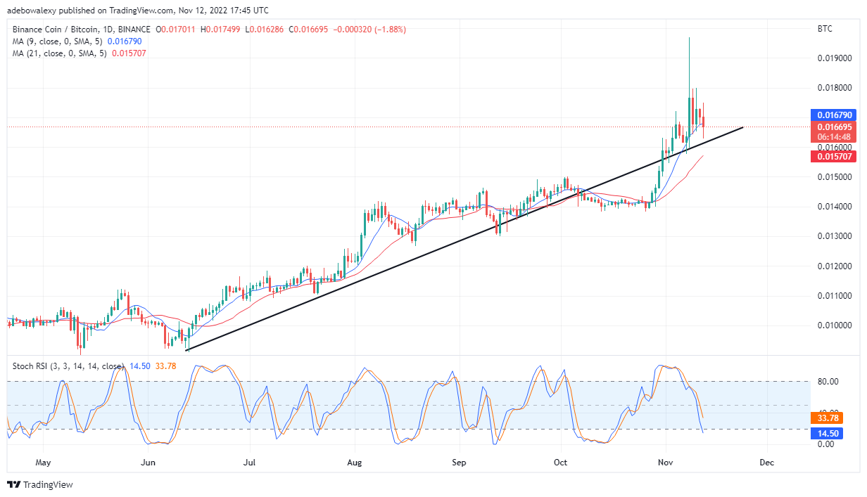 ການຄາດເດົາລາຄາ Binance Coin ມື້ນີ້, ວັນທີ 13 ພະຈິກ 2022: BNB/USD Bulls ໝົດແລ້ວ