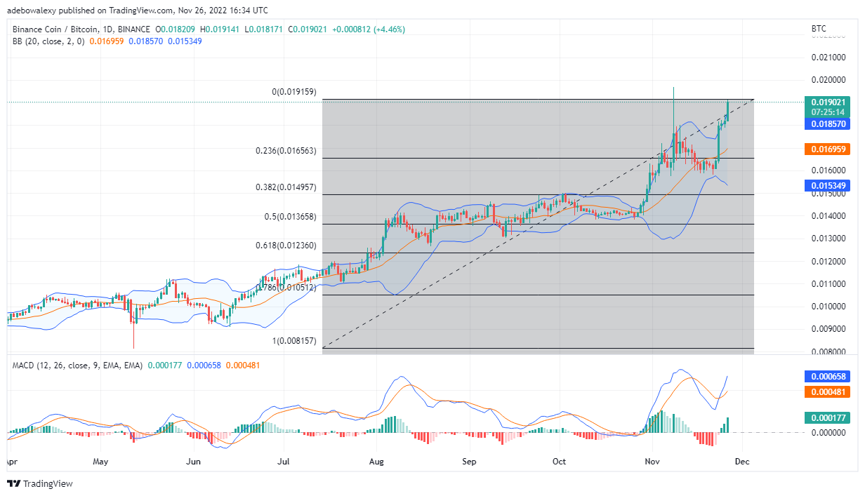 Prognoza cen Binance dzisiaj, 27 listopada 2022: BNB/USD wychodzi na plus