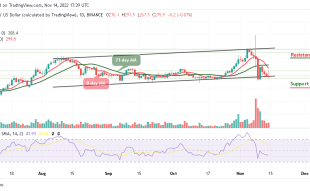 Binance Coin Price Prediction for Today, November 14: BNB/USD Price Could Test $250 Support
