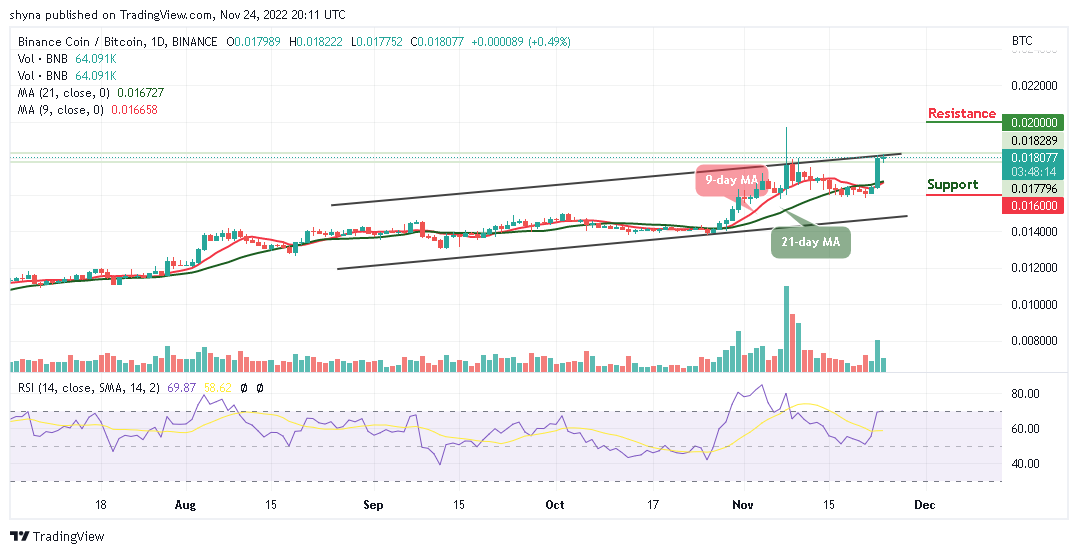 Binance Coin Price Prediction for Today, November 24: BNB/USD Recovers Above $300 Level