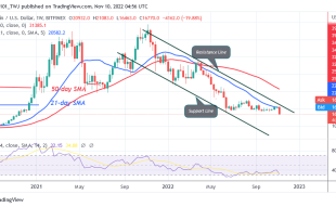 Bitcoin Price Prediction for Today, November 9: BTC Price Plunges to $16.4K