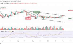 Bitcoin Price Prediction for Today, November 2: BTC/USD Price At Risk; Bulls Defend $20,000 Support