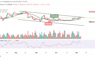 Bitcoin Price Prediction for Today, November 7: BTC/USD Risks Fresh Drop Below $20,500 Support