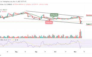 Bitcoin Price Prediction for Today, November 11: BTC/USD Could Obtain Strong Support Below $17k