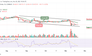 Bitcoin Price Prediction for Today, November 20: BTC/USD Grinds Lower