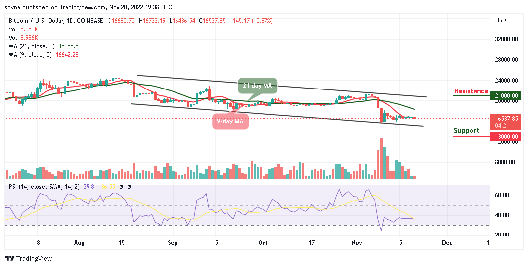Bitcoin Price Prediction for Today, November 20: BTC/USD Grinds Lower