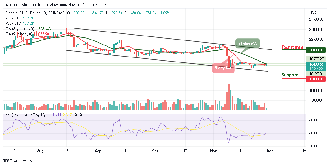 Bitcoin Price Prediction for Today, November 29: BTC/USD Ready for Another Leg Higher Above $16,500