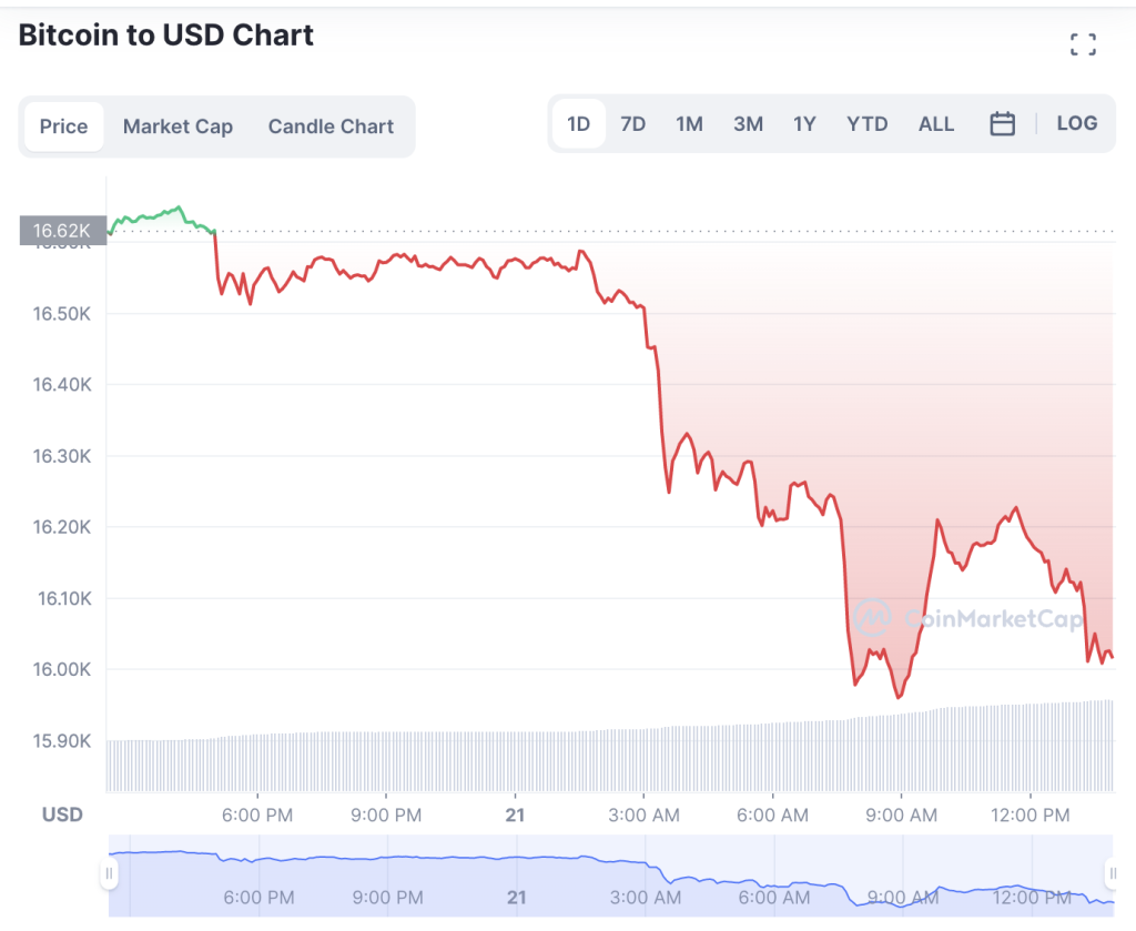 Best Crypto to Buy Now If the Bitcoin Price Has Bottomed