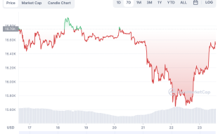 Bitcoin Price is Crashing