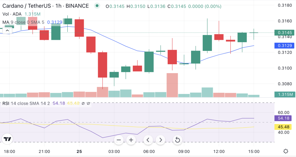 ລາຄາ Cardano ສີຂຽວເລັກນ້ອຍ