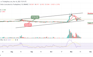 Dogecoin Price Prediction for Today, November 16: DOGE/USD Could Cross Above $0.090 Resistance
