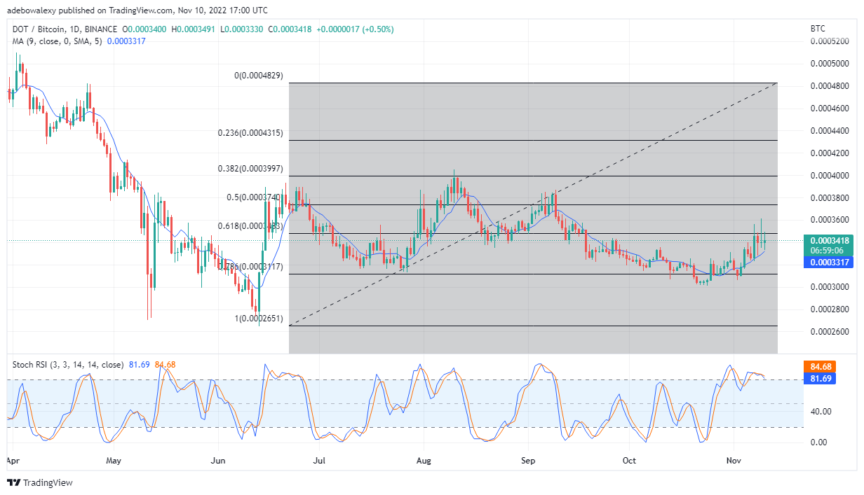 11 年 2022 月 XNUMX 日今日 Polkadot 价格预测：DOT/USD 从支撑位向上反弹