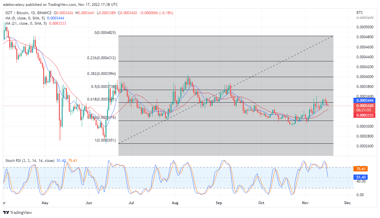 پیش‌بینی قیمت پولکادوت امروز، 18 نوامبر 2022: DOT/USD به 5.36 دلار رسید