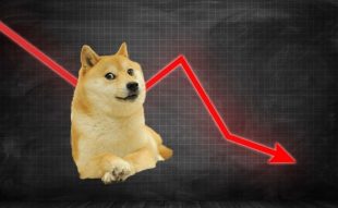 Dogecoin price dips 6.2%