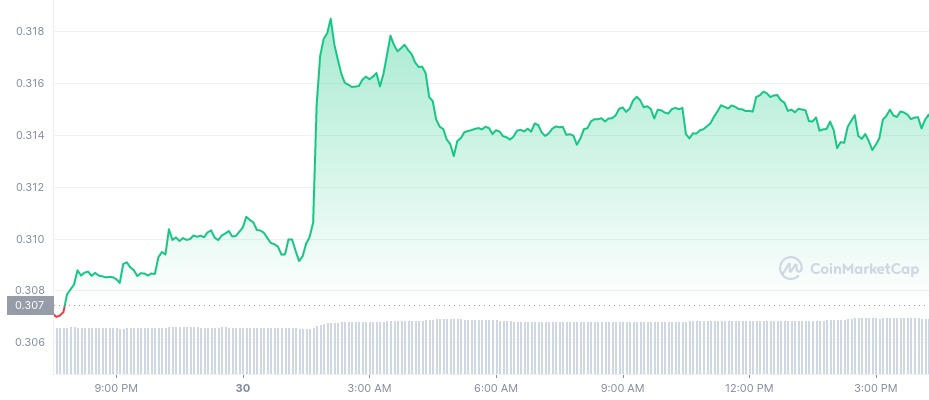 Gráfico ADA 11/30/22