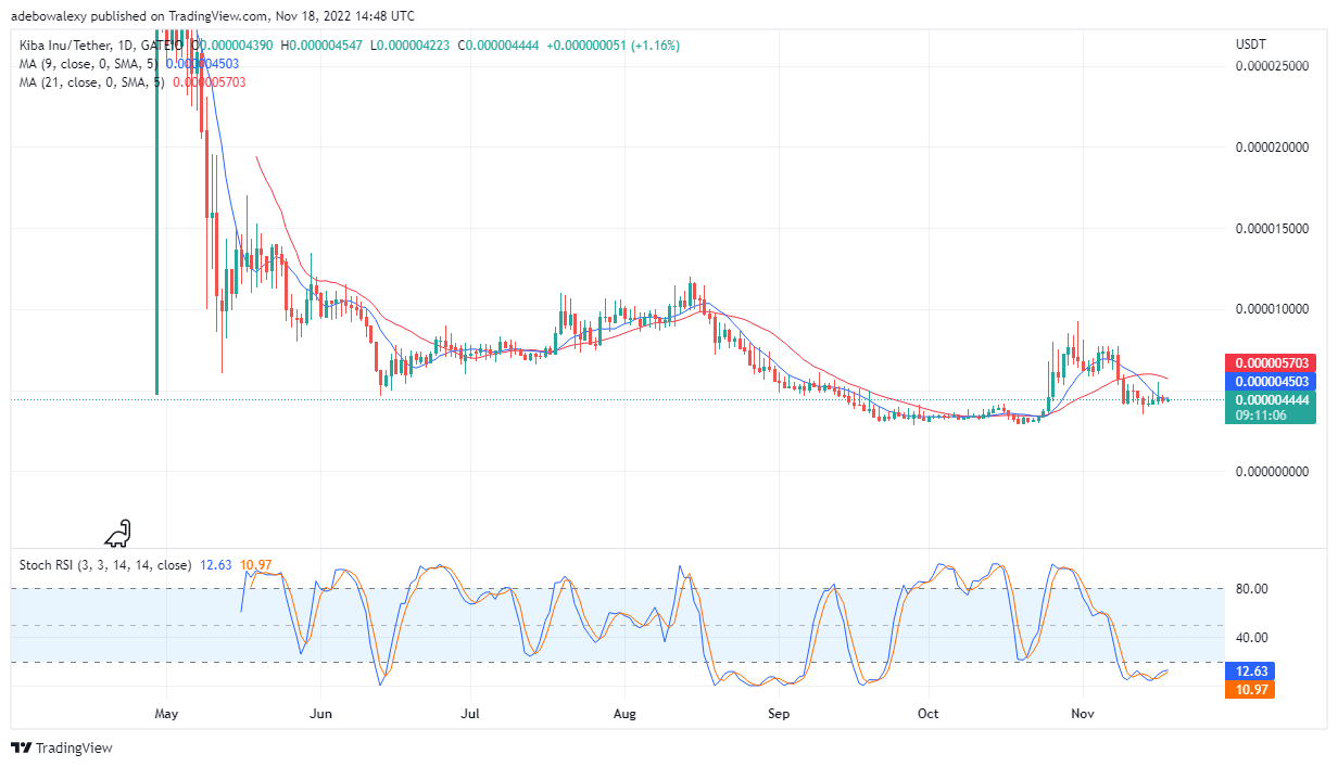 Kiba Inu Price Prediction Today, October 19, 2022: KIBA/USD Is Lacking Bullish Momentum