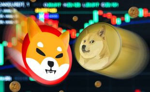Meme Coins Are on A Roll After Musk Twitter Acquisition - Buy DOGE and SHIB Now?