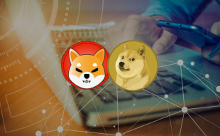 Meme Coins DOGE and SHIB Give Back Some Gains After Musk But Here’s One to Watch