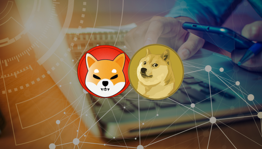 Meme Coins DOGE and SHIB Give Back Some Gains After Musk But Here’s One to Watch
