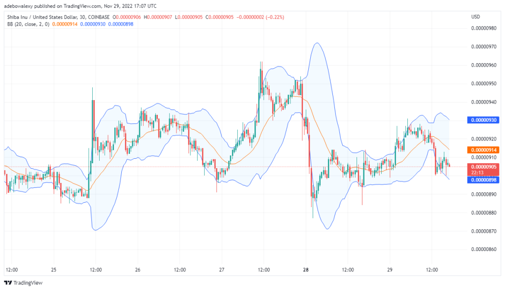 Shiba Inu Prediction Today, November 30, 2022: SHIB/USD Is Moving Downwards