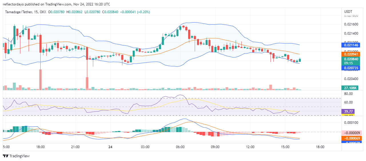 Tamadoge Price Prediction for the 24th of November: TAMA to Pump Furiously