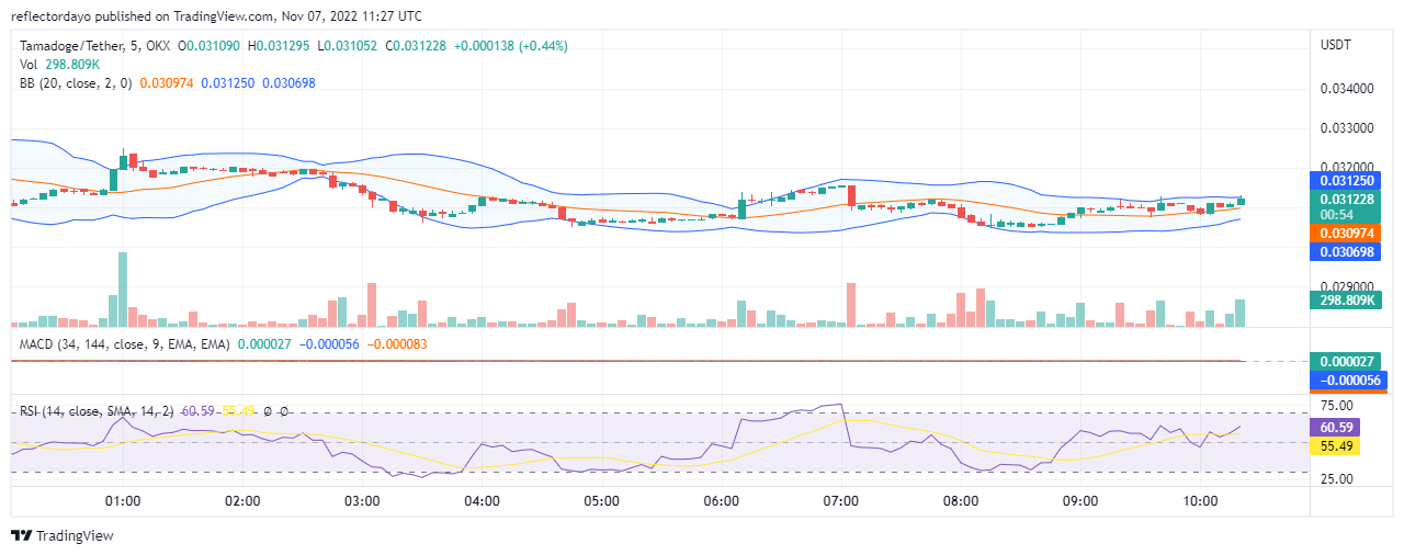 https://insidebitcoins.com/news/tamadoge-price-prediction-for-5th-of-november-the-tama-targets-the-0-0032-price-level