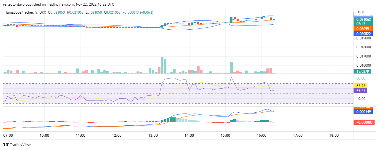 Tamadoge Price Prediction for the 22nd of November: TAMA Is Bouncing Back