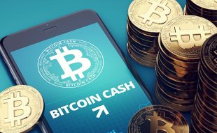 You Can Now Pay in Bitcoin Cash in This Caribbean Paradise