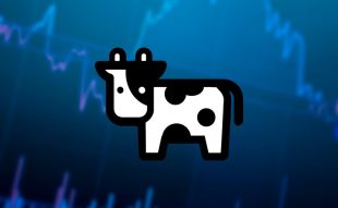 BIFI Price Prediction BIFI Gains 16% Today but these Two Coins can Make 100x Gains