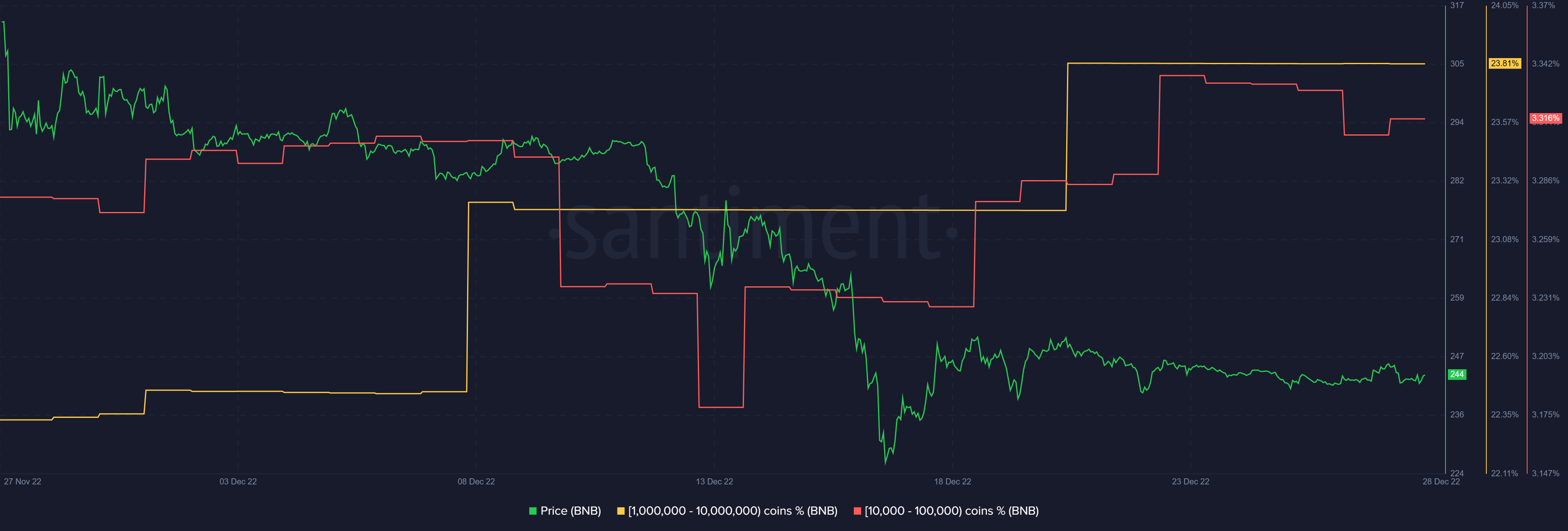 Binance Coin Supply Distribution