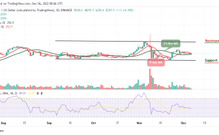 Binance Coin Price Prediction for Today, December 6: BNB/USD Price May Slide Below $280 Low