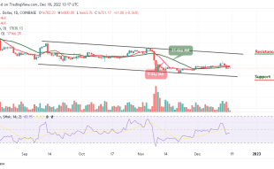 Bitcoin Price Prediction for Today, December 18: BTC/USD Could Start a Fresh Decline Below $16k