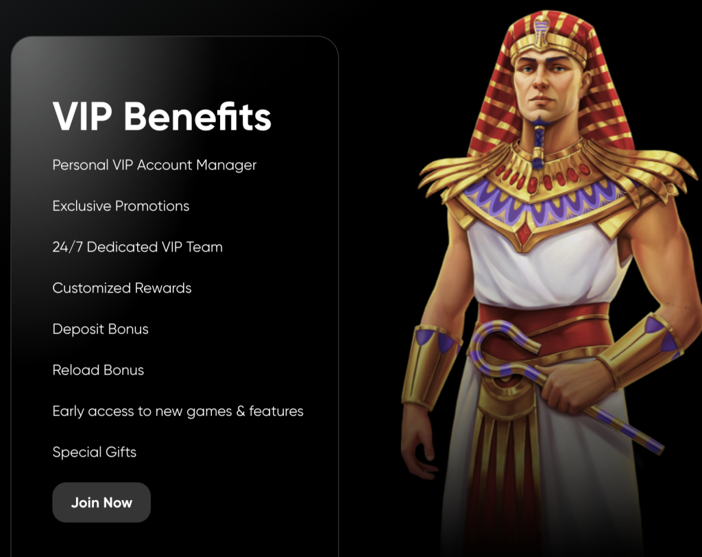  Bitcoin Games VIP Program